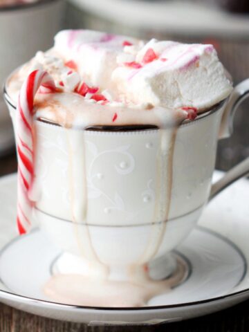 Ultimate hot chocolate in a white china cup.