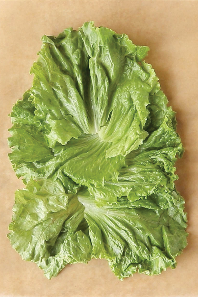 A step-by-step guide on How to Make a Lettuce Wrap Sandwich that won't fall apart. Perfect for low-carb, keto or Whole30 diets.