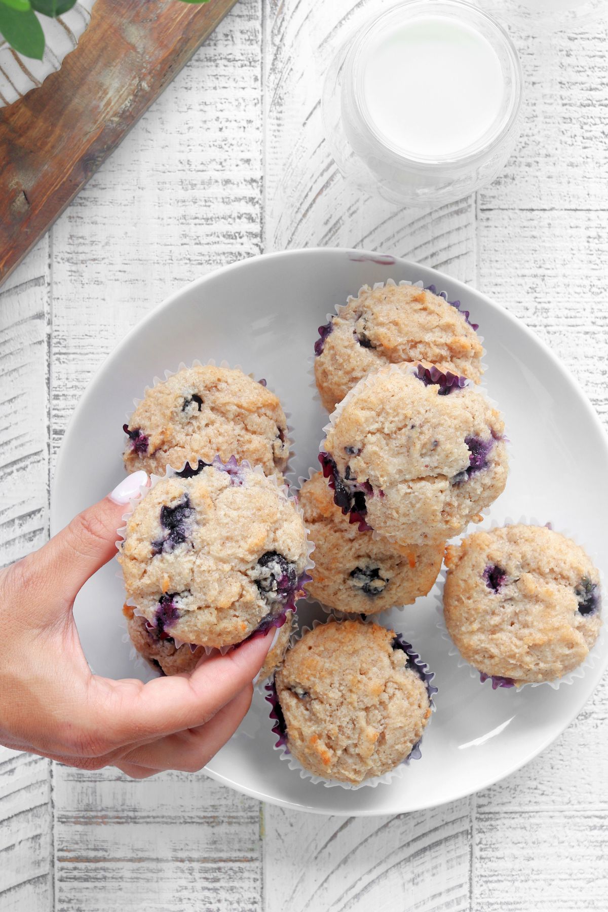 Blueberry Protein Muffins on a white plate.