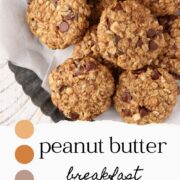 Peanut Butter Oatmeal Breakfast Cookies on a sheet pan.