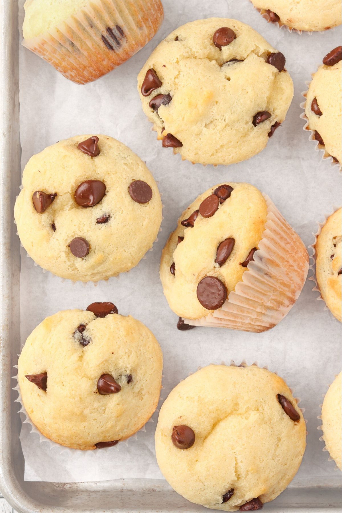 Chocolate Chip Protein Muffins on a parchment covered sheet pan.