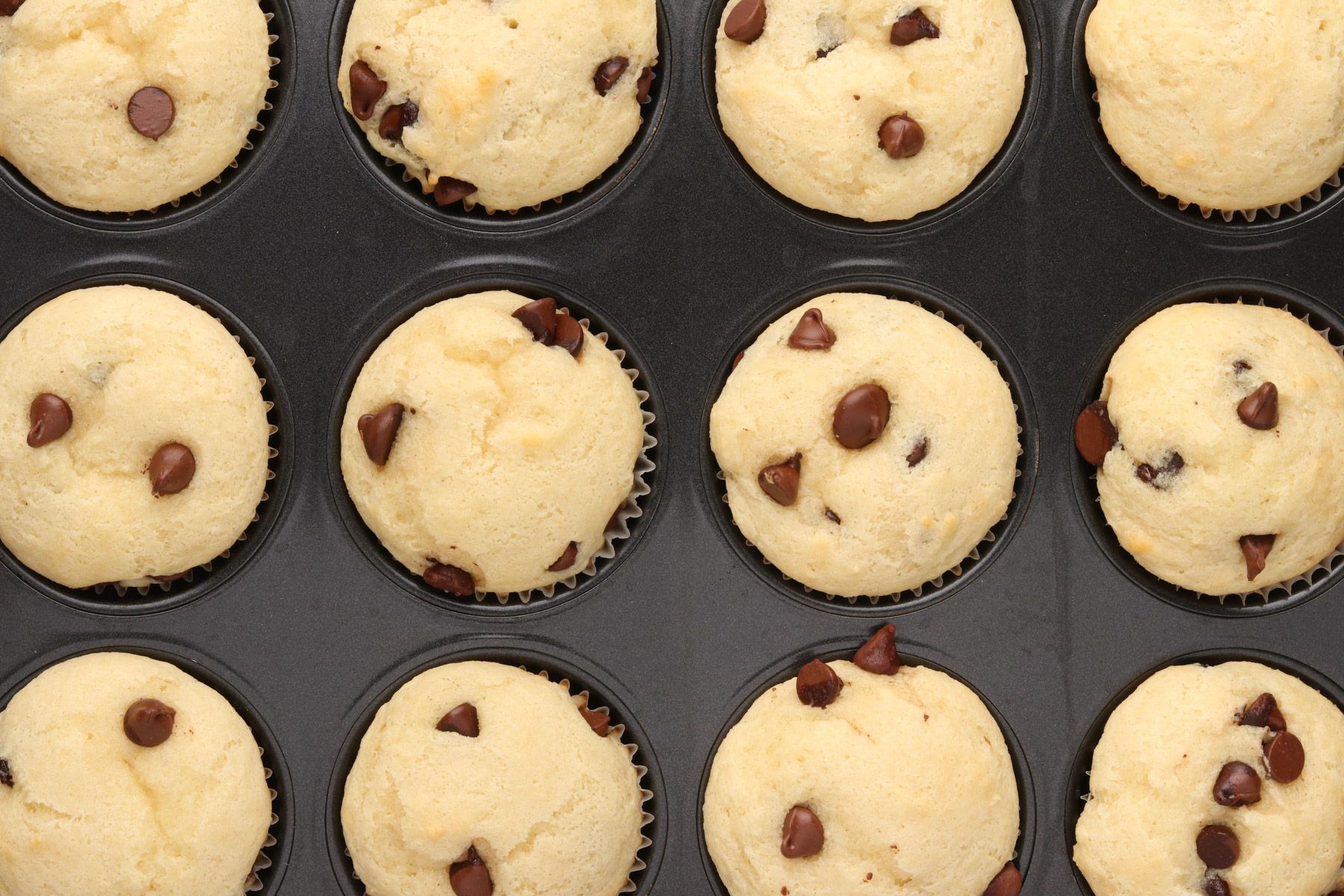 Step 6 - Chocolate Chip Protein Muffins. Bake muffins until golden brown. 